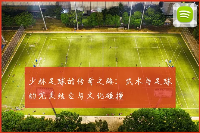 少林足球的传奇之路：武术与足球的完美结合与文化碰撞