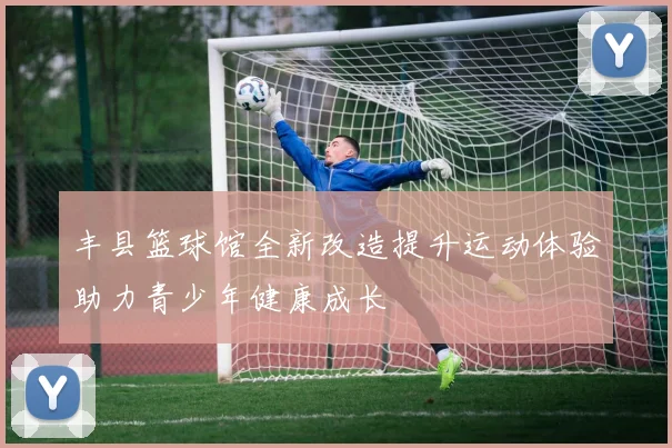 丰县篮球馆全新改造提升运动体验助力青少年健康成长