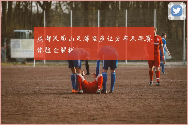 成都凤凰山足球场座位分布及观赛体验全解析